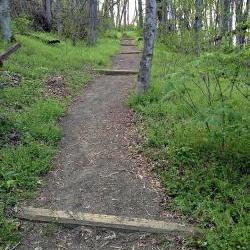 Art photography The Path Less Traveled 